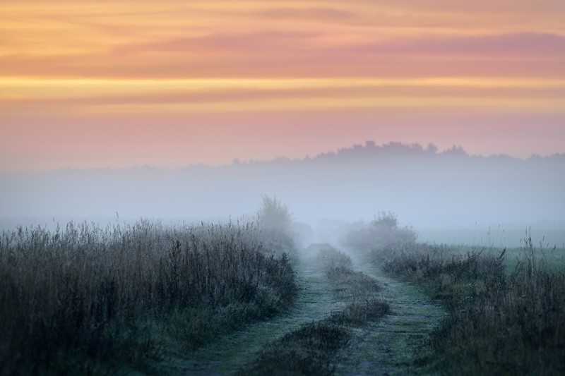 Fall Meditation